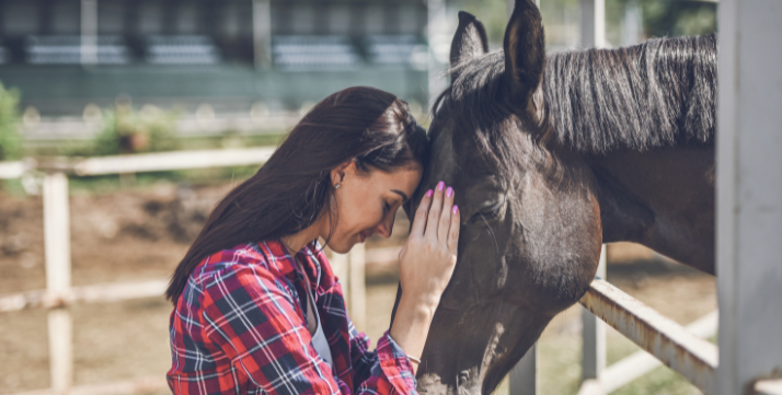 Taking the Reins on Equine Arthritis: Causes, Care and Prevention