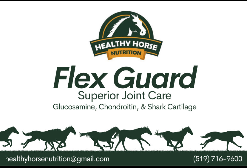 Flex Guard - Superior Joint Care